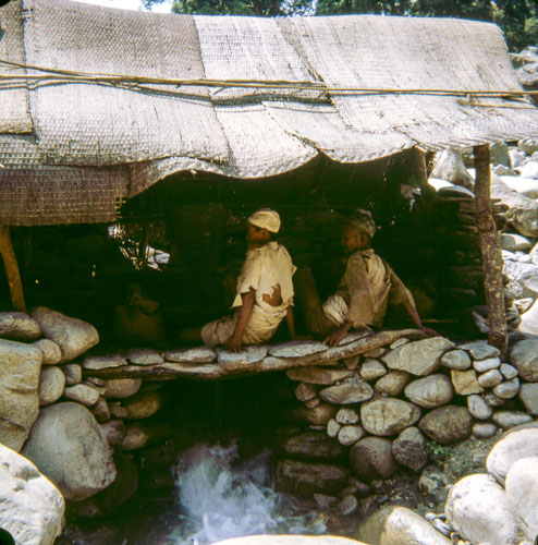 VM_FB000331.jpg