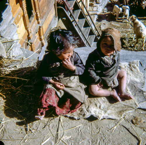 VM_FB000334.jpg