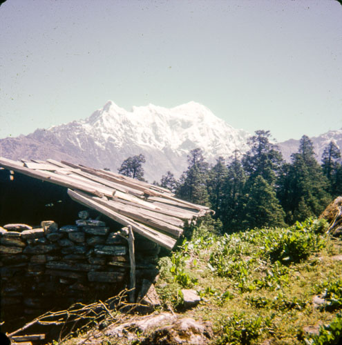 VM_FB000337.jpg
