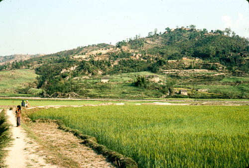 VM_FB00046.jpg