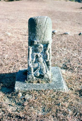 VM_FB00070.jpg