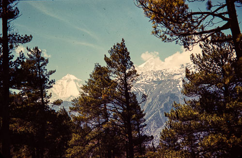 WS_CS00025.jpg