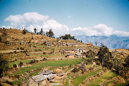 WS_CS00091.jpg WS_CS00091.jpg