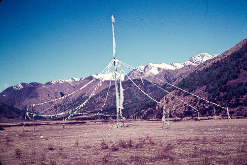WS_CS00096.jpg WS_CS00096.jpg