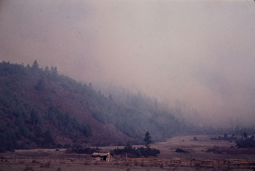 WS_CS00125.jpg WS_CS00125.jpg