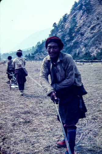 WS_CS00127.jpg WS_CS00127.jpg