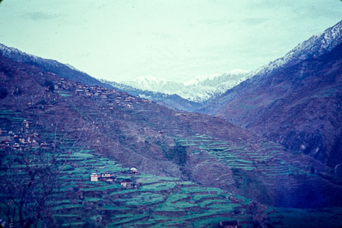 WS_CS00137.jpg WS_CS00137.jpg