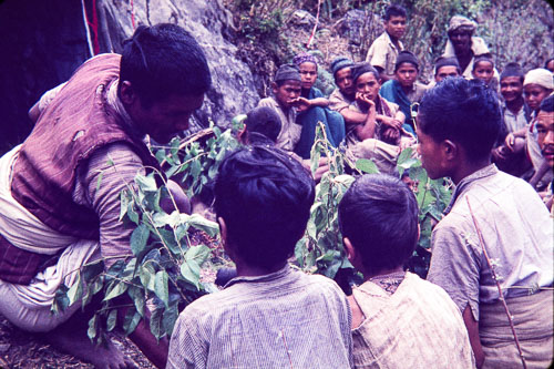 WS_CS00169.jpg WS_CS00169.jpg