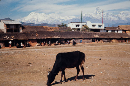 WS_CS00184.jpg WS_CS00184.jpg