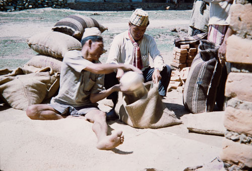 WS_CS00192.jpg WS_CS00192.jpg