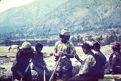 WS_CS00193.jpg WS_CS00193.jpg
