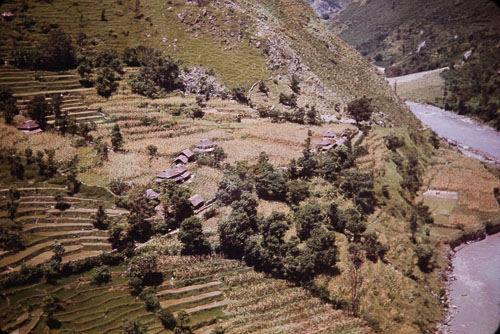WS_CS00208.jpg WS_CS00208.jpg