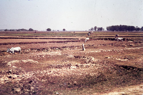 WS_FB00256.jpg
